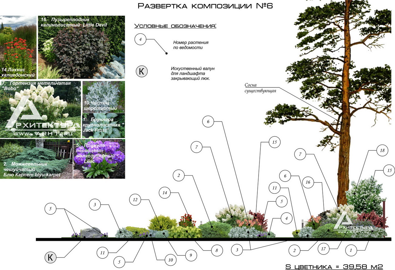 Проект ландшафтного дизайна СПб - АРХ1 Архитектура